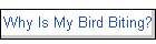 Why Is My Bird Biting?