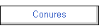 Conures