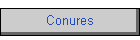Conures